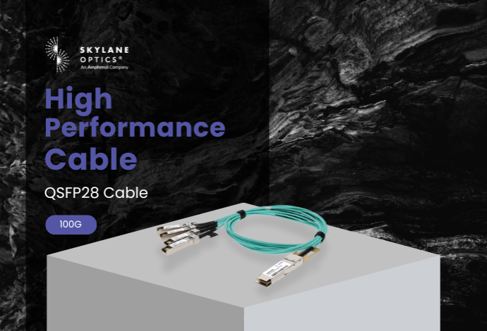 QSFP28 Cable